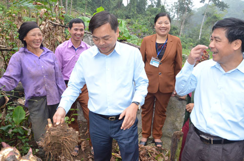 Đồng chí Nguyễn Hoàng Hiệp kiểm tra tình hình kinh tế - xã hội xã Cao Sơn, Vũ Muộn - Ảnh minh hoạ 3