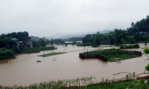 Chủ tịch UBND tỉnh Lý Thái Hải kiểm tra tình mưa lũ trên địa bàn huyện Bạch Thông