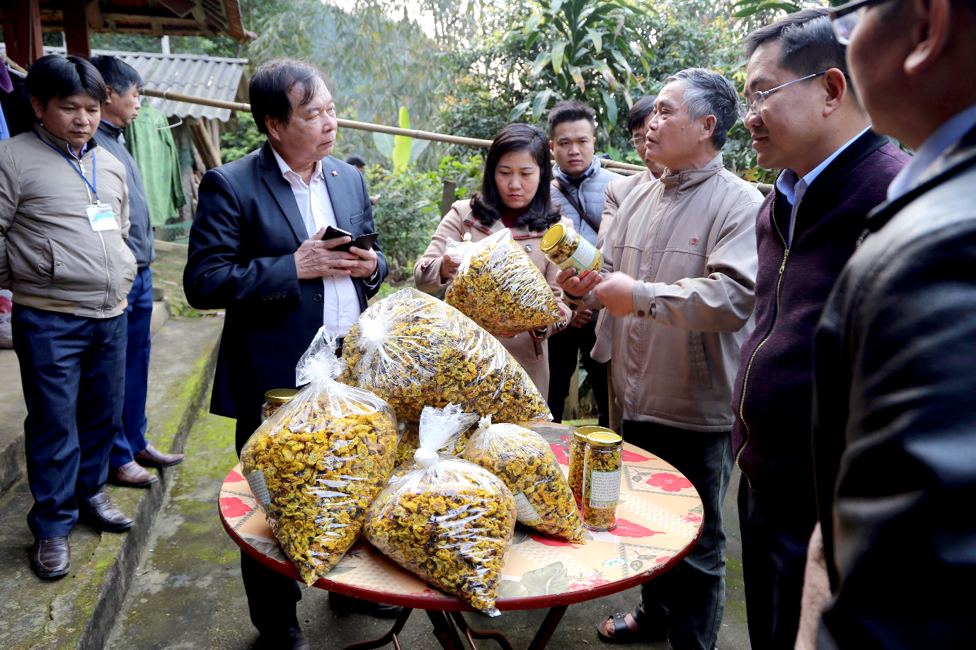 Đồng chí Phó Chủ tịch Thường trực UBND tỉnh Đỗ Thị Minh Hoa kiểm tra thực tế mô hình chè hoa vàng tại huyện Chợ Đồn