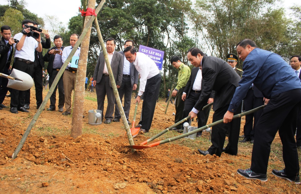Chủ tịch nước Trần Đại Quang phát động Tết trồng cây tại Bắc Kạn - Ảnh minh hoạ 4